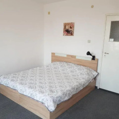 Отель Guest Rooms Radost комната для гостей фото 3