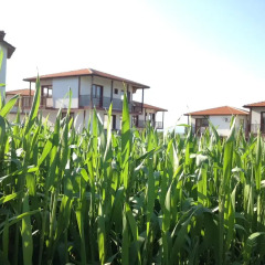 Отель Aleksandrovo Holiday Home Болгария, Равда - отзывы, цены и фото номеров - забронировать отель Aleksandrovo Holiday Home онлайн фото 5