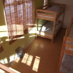 Le Penguin Hostel бассейн фото 2