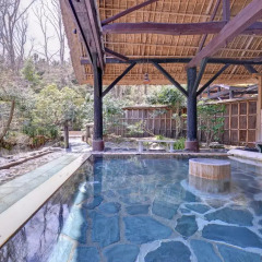 Отель Sachinoyu Onsen Насусиобара бассейн фото 3