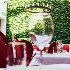 DOM Boutique Hotel с домашними животными