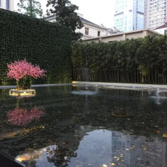 Metropolo Classiq Shanghai Jing'an Temple Hotel бассейн фото 2