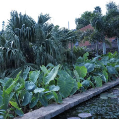 Отель Haciendas del Valle - Las Kentias