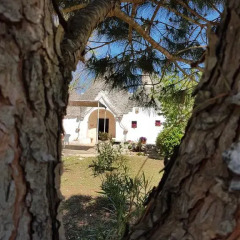 Отель I Trulli Di Nonno Giovanni Альберобелло фото 11