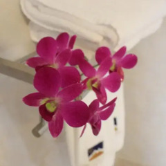 Отель Hoi An Phu Quoc Resort 3* Улучшенный номер с различными типами кроватей фото 9