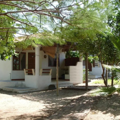 Отель Bungalos Sol Dorado Мексика, Коакоюл - отзывы, цены и фото номеров - забронировать отель Bungalos Sol Dorado онлайн