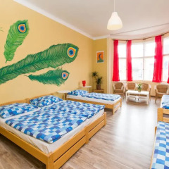 Hostel Downtown Стандартный семейный номер с двуспальной кроватью фото 5