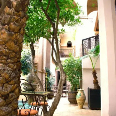 Отель Riad Palmier Марокко, Марракеш - отзывы, цены и фото номеров - забронировать отель Riad Palmier онлайн фото 16