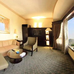 Pyramisa Suites Hotel & Casino Cairo 5* Стандартный номер с двуспальной кроватью фото 4