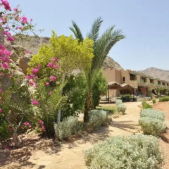 Helnan Taba Bay Hotel фото 5