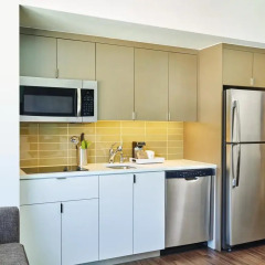 Отель Element Basalt - Aspen Стандартный номер с различными типами кроватей фото 5