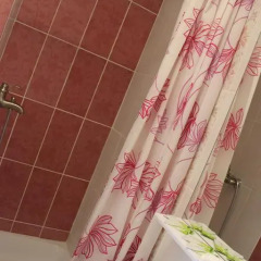 Гостиница Бастон 2* Улучшенный номер двуспальная кровать фото 9