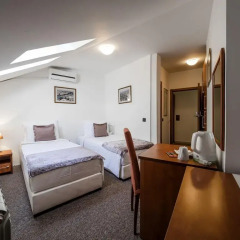 Garni Hotel Le Petit Piaf 3* Стандартный номер с различными типами кроватей фото 5