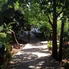 Отель Il Giardino Di Silvia Италия, Палермо - отзывы, цены и фото номеров - забронировать отель Il Giardino Di Silvia онлайн парковка