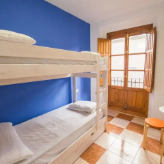 Oh My Hostel Стандартный номер с 2 отдельными кроватями фото 3