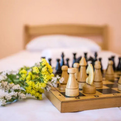 One Way Hostel Sakharov с домашними животными