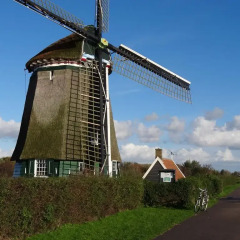 Отель Amsterzonian B&B Нидерланды, Амстердам - отзывы, цены и фото номеров - забронировать отель Amsterzonian B&B онлайн пляж