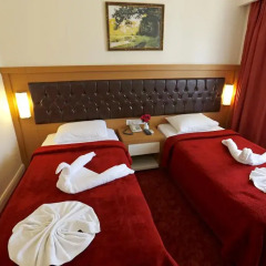 Forest Park Hotel 3* Стандартный номер с разными типами кроватей фото 4