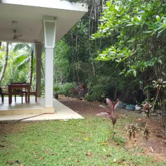 Отель Lagoon Villa Beruwala Шри-Ланка, Берувела - отзывы, цены и фото номеров - забронировать отель Lagoon Villa Beruwala онлайн фото 3