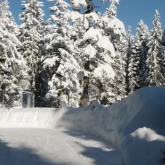 Отель Saint George Borovets Hotel Болгария, Боровец - отзывы, цены и фото номеров - забронировать отель Saint George Borovets Hotel онлайн фото 2