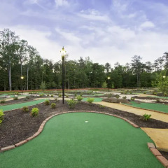 Отель Holiday Inn Club Vacations Williamsburg Resort развлечения