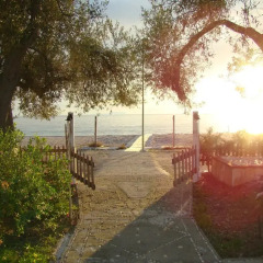 Отель Altea Beach Lodges фото 3