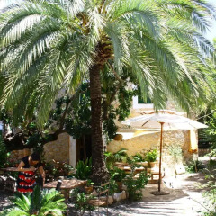 Отель Sa Plana Petit Hotel Испания, Эстелленс - отзывы, цены и фото номеров - забронировать отель Sa Plana Petit Hotel онлайн фото 3