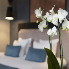 Отель No. 377 House 3* Стандартный номер с различными типами кроватей фото 14