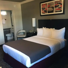 Отель Americas Best Value Inn - Los Angeles/Hollywood США, Лос-Анджелес - отзывы, цены и фото номеров - забронировать отель Americas Best Value Inn - Los Angeles/Hollywood онлайн комната для гостей фото 2