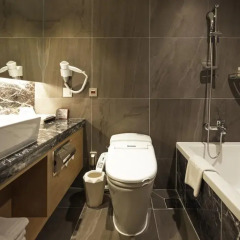 Tmark Grand hotel Myeongdong 4* Представительский номер с различными типами кроватей фото 4