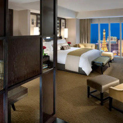 Отель Waldorf Astoria Las Vegas 5* Студия с различными типами кроватей фото 5