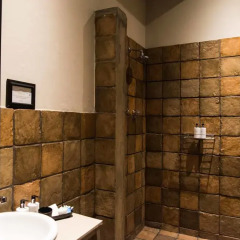Отель Addo African Home 2* Номер Делюкс с различными типами кроватей фото 6