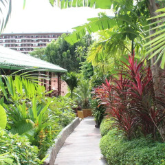 Отель Kata Garden Resort пляж Ката фото 2
