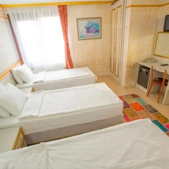 Dedem Boutique Hotel 3* Номер Делюкс с различными типами кроватей фото 6