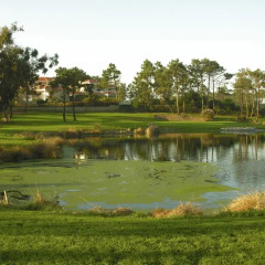 Отель Sea View Dupplex Silver Coast спортивное сооружение
