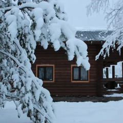 Гостиница Cottage Nigozero