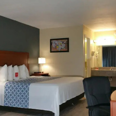 Отель Econo Lodge Effingham 2* Стандартный номер с различными типами кроватей
