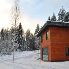 Гостиница Brusnika Village Стандартный номер с разными типами кроватей фото 8