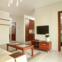 Отель Apartamenty Silver комната для гостей фото 3