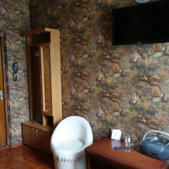 Гостиница Guest House Safari Стандартный номер с разными типами кроватей