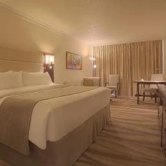 Landmark Amman Hotel & Conference Center 5* Номер категории Премиум с различными типами кроватей фото 3