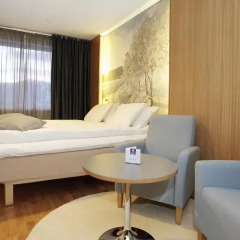 Thon Hotel Surnadal 4* Стандартный номер с различными типами кроватей фото 2