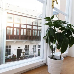Апартаменты Greg Apartments Kampa Prague Прага интерьер отеля