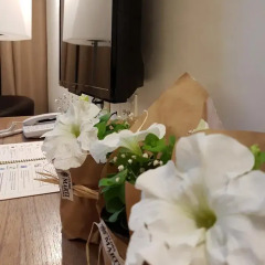 Hotel Eden Park by Brava Hoteles 4* Номер Комфорт с различными типами кроватей фото 5
