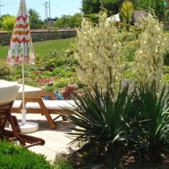 Hotel White Rose фото 4