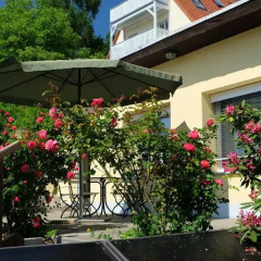 Отель Ferienwohnung Dresden Trachenberge Германия, Дрезден - отзывы, цены и фото номеров - забронировать отель Ferienwohnung Dresden Trachenberge онлайн фото 3