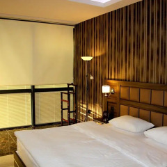 Отель Avan Plaza 3* Люкс