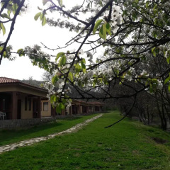Отель Perpershka River Villas Болгария, Ардино - отзывы, цены и фото номеров - забронировать отель Perpershka River Villas онлайн