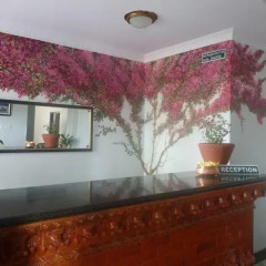 Отель Bougainvillea Непал, Покхара - отзывы, цены и фото номеров - забронировать отель Bougainvillea онлайн интерьер отеля фото 3