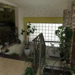 Hotel Lido развлечения